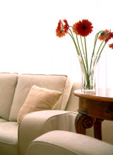 AA041699.jpg